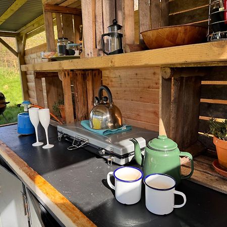 Geodesic Dome Glamping Hotell Llanidloes Eksteriør bilde