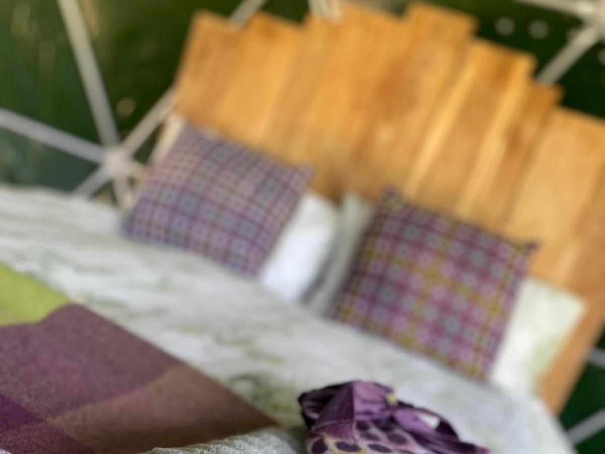 Geodesic Dome Glamping Hotell Llanidloes Eksteriør bilde