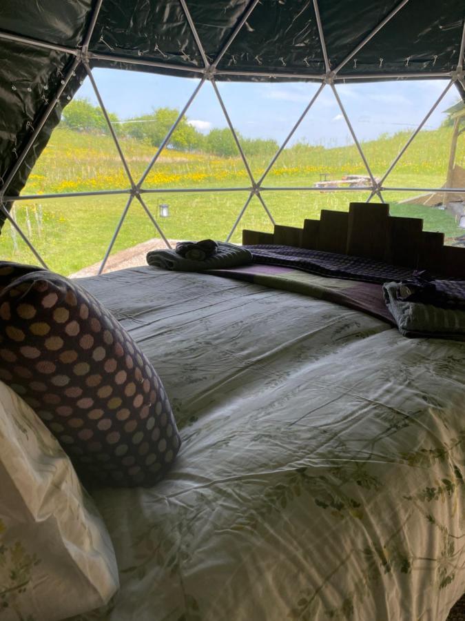 Geodesic Dome Glamping Hotell Llanidloes Eksteriør bilde